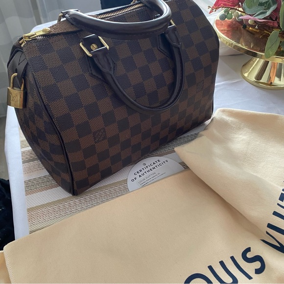 Louis Vuitton Handbags - Louis Vuitton Speedy 25 Damier Ebene canvas